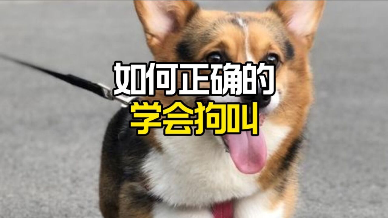 如何正确的学会狗叫_高清1080P在线观看平台_腾讯视频