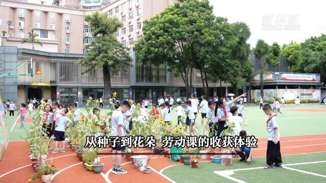 从种子到花朵 劳动课的收获体验