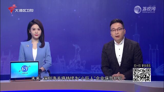 湾区直击:深圳“小巨人”进出口同比增长近3成