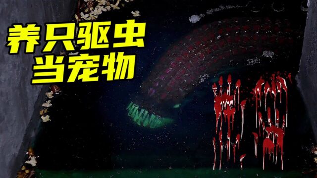 模型制作:养只蛆虫当宠物,你们试过吗?