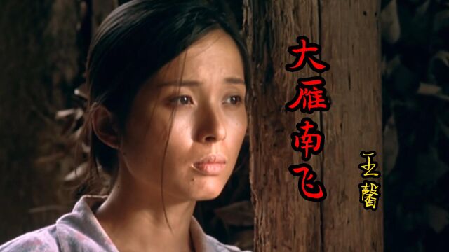 王馨原唱《大雁南飞》完整版,疗伤催泪歌曲,唱哭了多少痴情人