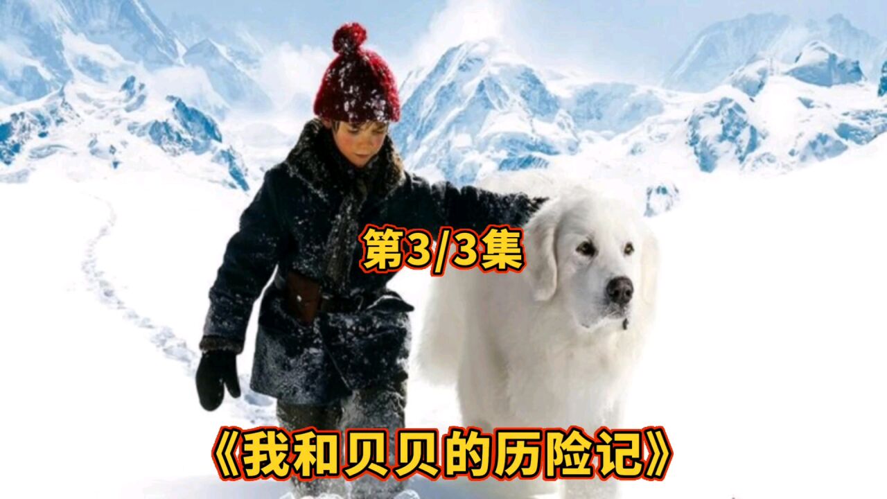全镇捕杀一只野狗，男孩悄悄收留它，狗子激战7匹狼都不怂！_高清1080P在线观看平台_腾讯视频