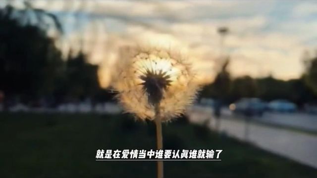 “心中栽桃树,灼灼映桃花”# 陈果# 爱情