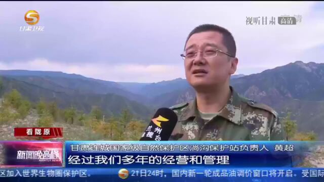 甘肃连城国家级自然保护区:生态持续优化 和谐共生尽显自然美景