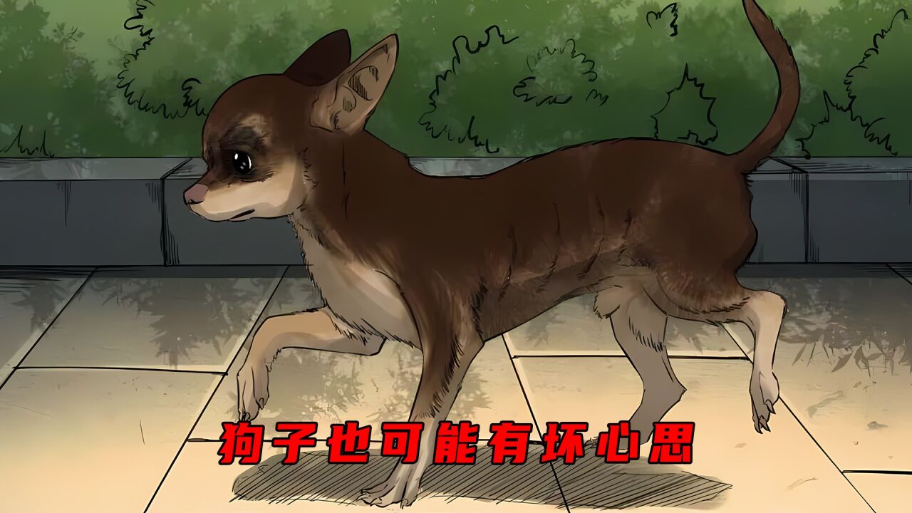 番ྀ茄ྀ《老六异闻录》_狗子也可能有坏心思_高清1080P在线观看平台_腾讯视频
