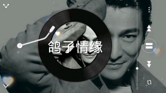 刘德华经典歌曲(鸽子情缘)