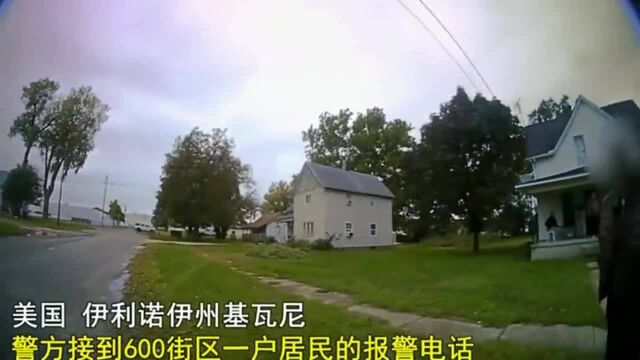 美国警察就是这么“干脆”,当场射杀流浪狗,爱狗人士不敢吭声