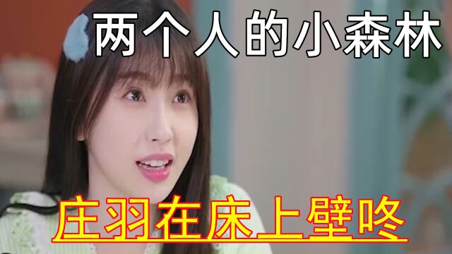 两个人的小森林:美女沙发激吻教授,庄羽在床上壁咚,这是不花钱能看的