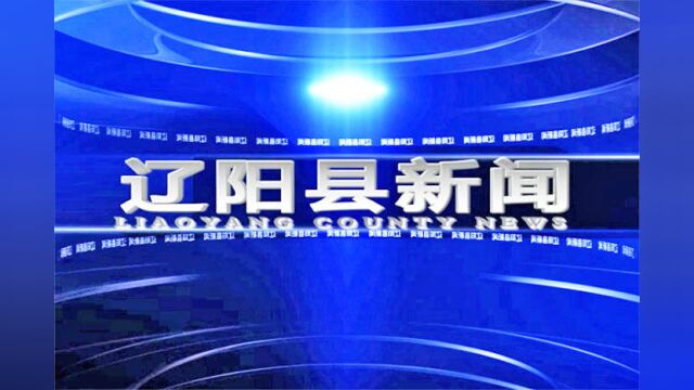 辽阳县政府召开2022年第12次党组、14次常务会议