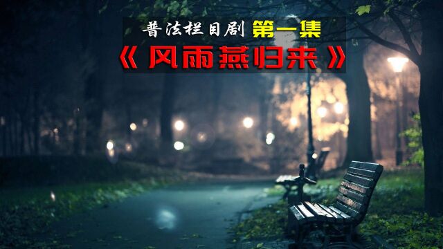 《风雨燕归来》女大学生被拐卖到偏远山村,给傻子当媳妇!