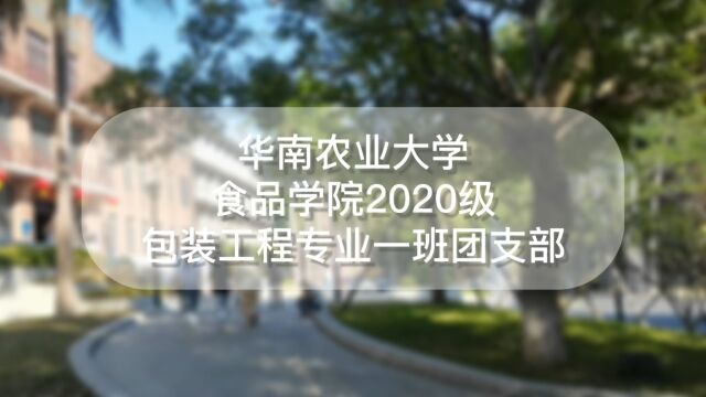 华南农业大学食品学院2020级包装工程专业一班团支部“活力在基层”主题团日活动