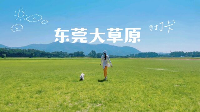 东莞有个“大草原”,厚街横岗水库太美啦