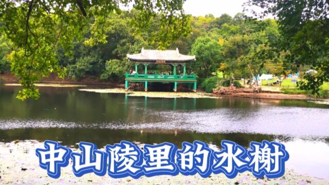  中山陵的水榭环境清幽绝对值得你来走走坐坐,也没门票 