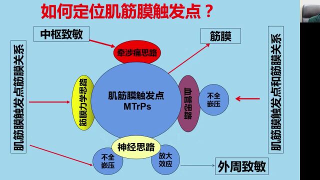 上海黄强民教授讲座:肌筋膜触发点与筋膜之间的关系(二)