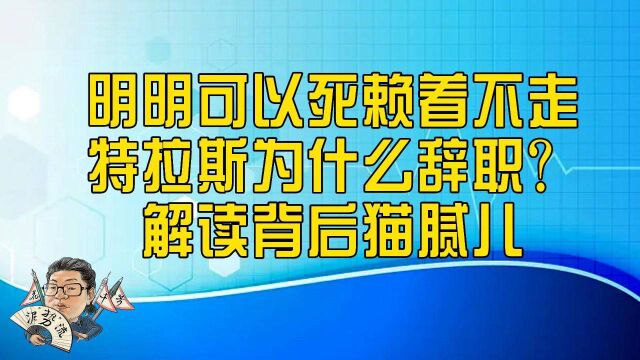 花千芳:明明可以死赖着不走,特拉斯为什么辞职?解读背后猫腻儿