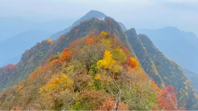 都江堰 赵公山