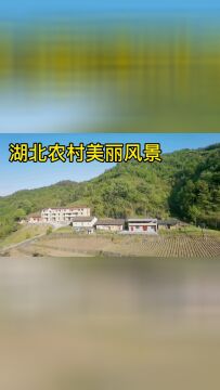 美丽乡村建设越来越漂亮十堰农村随手拍出来都是美景犹如仙境一般