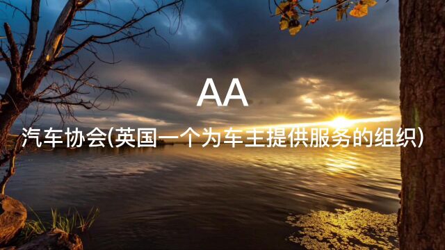 AA(汽车协会)