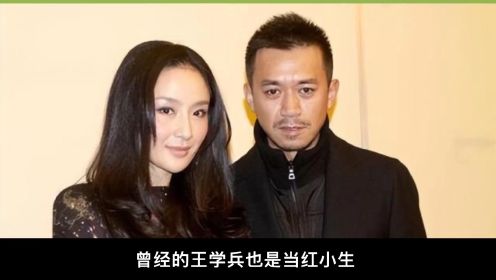 王学兵和孙宁离婚10年：一个3婚娶娇妻，一个未婚没孩子