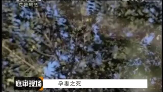 央视社会与法庭审现场《孕妻之si》(上)