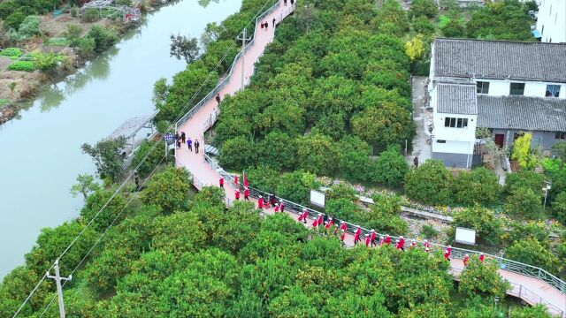 台州市黄岩区南城街道蔡家洋村贡橘园美食节