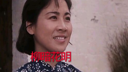 电影《柳暗花明》陈大姝主演，李谷一原唱主题曲《花溪水》