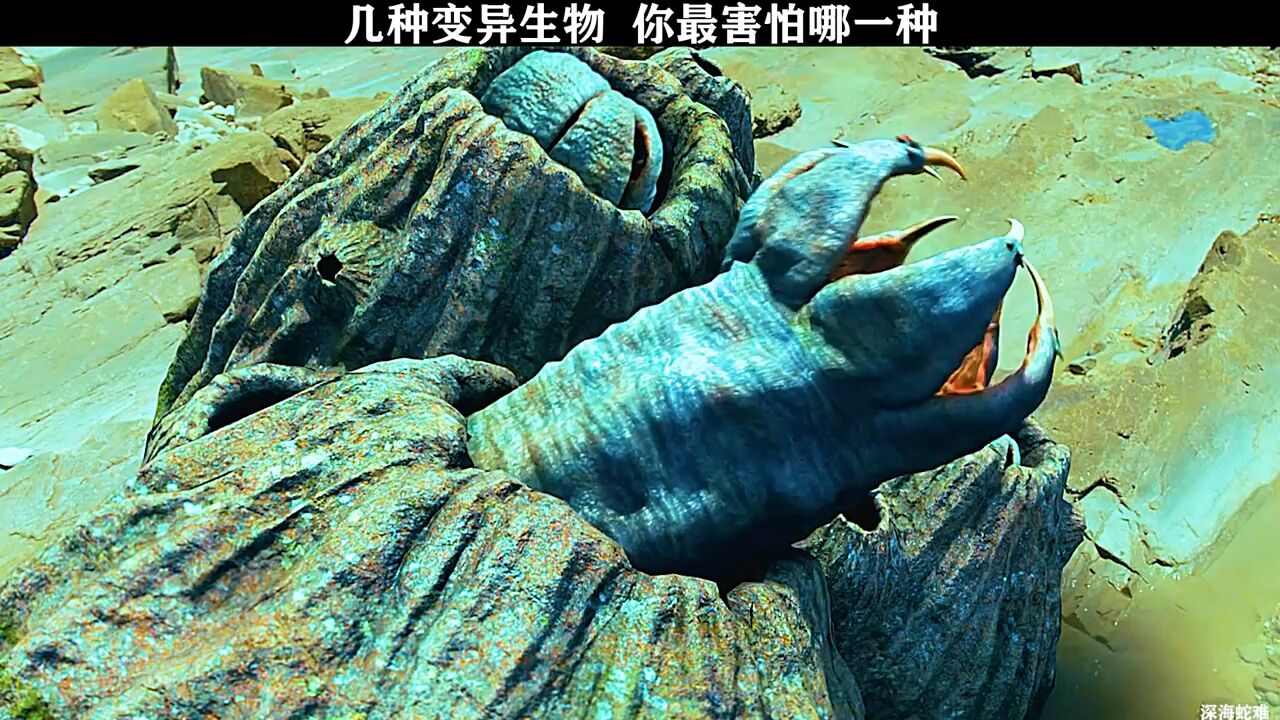 几种变异生物，你最害怕那一种_高清1080P在线观看平台_腾讯视频