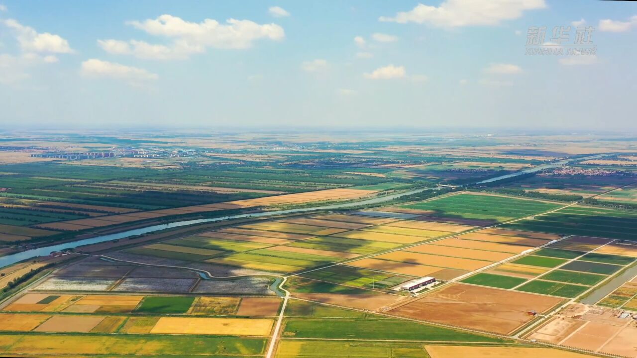 山东黄河三角洲:昔日盐碱地 今朝"新粮仓"