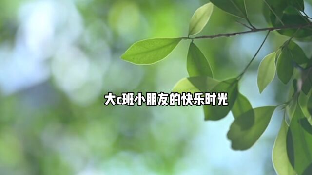 大C班快乐花絮