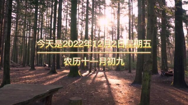 今天是2022年12月2日星期五,农历十一月初九,晚上好,平凡的.