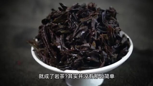 存放两百多年的武夷陈茶,还能喝吗?