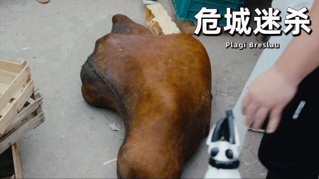 六天六起命案,手法高明无破绽,波兰版七宗罪《危城谜杀》