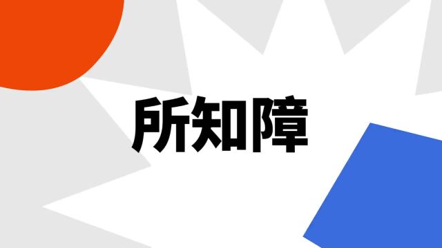 “所知障”是什么意思?