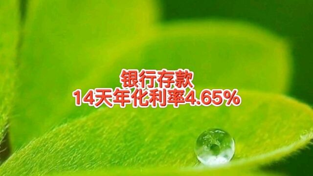 这方法存钱收益高,银行存款14天年化利率4.65%,没法续存靠谱吗