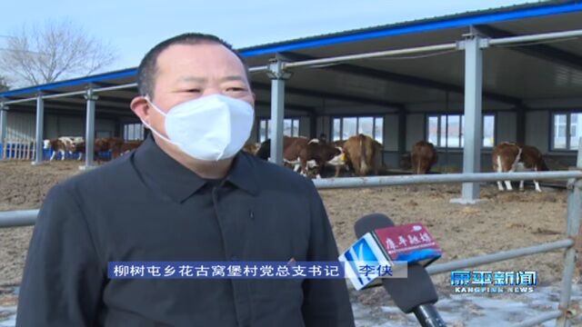 “六畜兴旺”人安乐 物阜民丰促振兴⑬ | 柳树屯乡:养殖产业“畜”势勃发