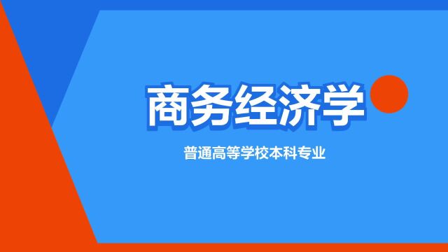 “商务经济学”是什么意思?