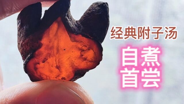 新冠阳过后我用了附子汤