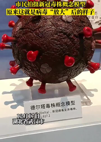 市民拍摄新冠毒株概念模型.原来这就是病毒"放大"后的样子!