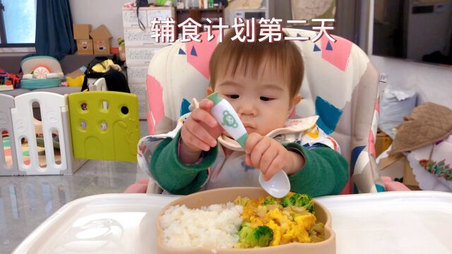 丸子辅食日记第二天上