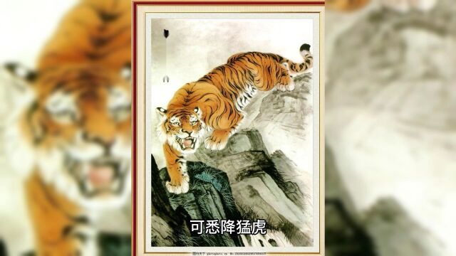 猛虎的故事