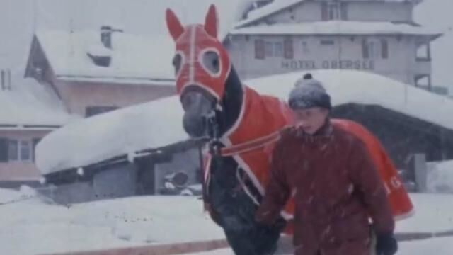 冬天里的第一场雪 #风雪 #雪天美景