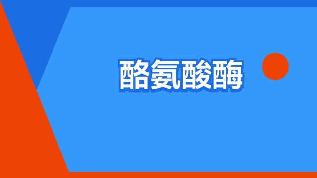 “酪氨酸酶”是什么意思?