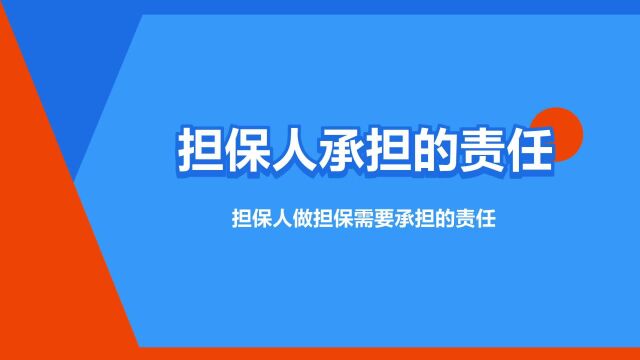 “担保人承担的责任”是什么意思?