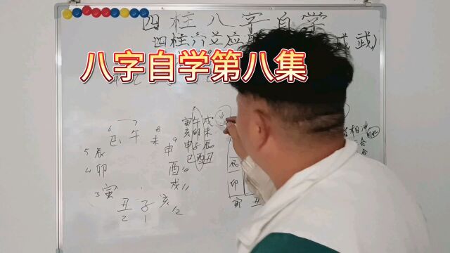 四柱八字自学第八集