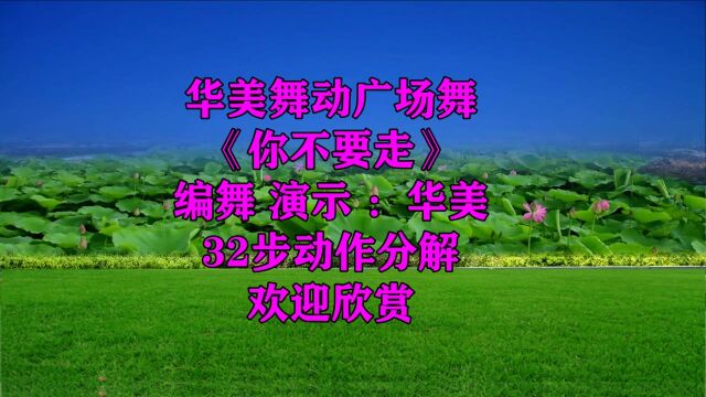 抒情广场舞《你不要走》你曾说过要和我长相厮守,歌醉舞美