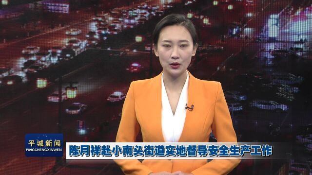 陈月祥赴小南头街道实地督导安全生产工作