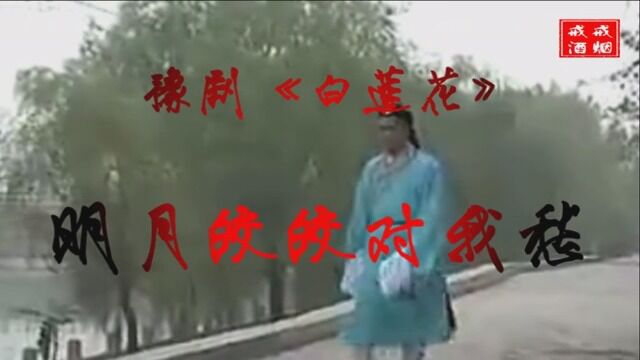 豫剧《白莲花》明月皎皎对我愁伴奏 袁国营