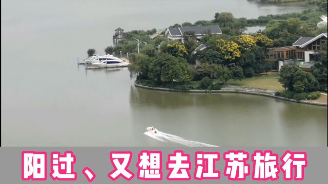 阳(扬)过想去江苏旅行,想念美丽的江南风光,还想念公路边的枇杷果