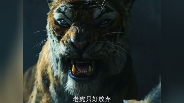 奇幻森林,好看的电影