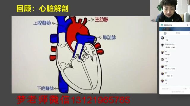 2023年临床呼吸系统21